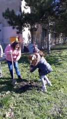 viber_slika_2023-03-27_22-19-13-550.jpg